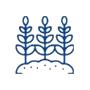 Land Used Icon